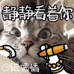宋民国呲牙表情包3