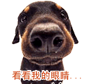 滑稽特种兵表情包6