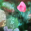 坚定的眼神文字表情7