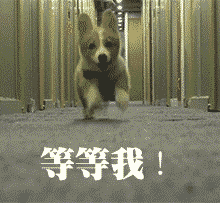 贴吧祝福表情12