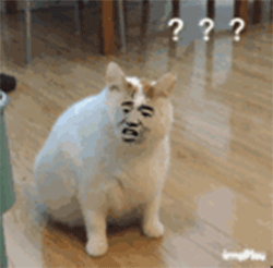 儿童动态搞笑天表情8