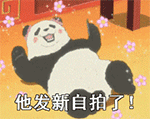 10张精神的动画表情5