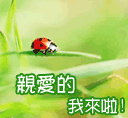 爱情微笑只是一种表情6