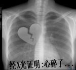 猫咪表情生气图片3