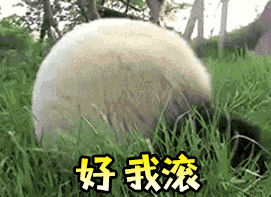 微信斗图搞笑表情包13