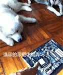 说别人是帅哥表情包12