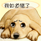 菜名表情包6