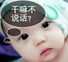 沙雕端午节表情包6