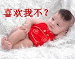 熊猫头动态小表情1