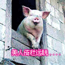 二月二龙抬头动态图片表情12