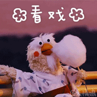 美女下午好表情太精彩4