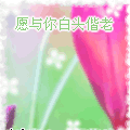 精选12组还是的微信表情3
