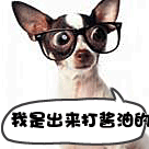 陈哲远经典表情包7