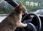 感谢领导 表情包4