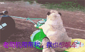 生气的话加一个微笑的表情包5