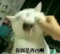 美女姐姐唱歌悦耳动听表情到位6
