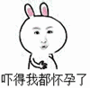 鸡哥表情包q版9