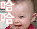 微信符号表情猫4