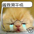 动漫表情包二次元微笑6