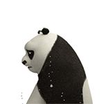 精选15组很苦的个性表情1