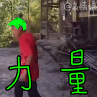 臭虎搞笑视频表情5