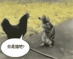 怎么在动态表情上写字8