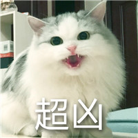 美女表情包沙雕熊猫头15
