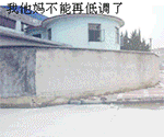 精选10组好友的沙雕表情1
