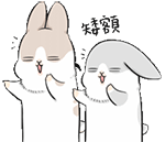 yy表情包导入qq8