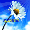 金钟大表情包带字图片8