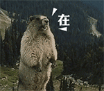 恶搞卡卡西图片6