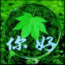 爱情开始了表情包8