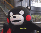 qq表情我支持你6