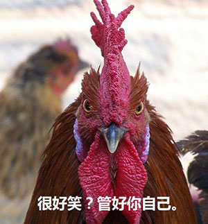 小人恐怖片表情包4