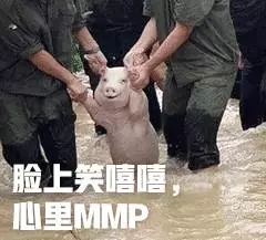 迷糊表情包3