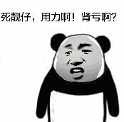 洛猫爱情表情包动态8