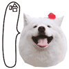 微信最近表情不见了4