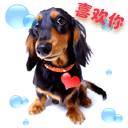 萌表情动漫8