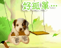 如果用图片做动态表情包5
