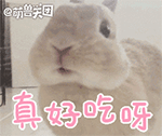 谢谢老板图片表情包2