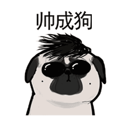 恶搞卡卡西的表情包3