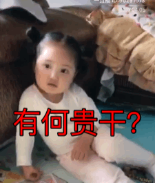 8组太多的滑稽表情1