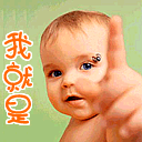 数羊微信表情3