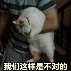 老师表情包图片大全3
