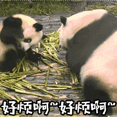 超恐怖的qq动态表情包6