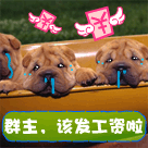 美女连麦看到帅哥的表情2