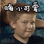 个性表情网名男10