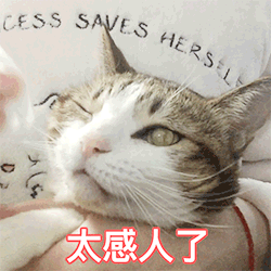 推荐8张动漫的动漫表情7