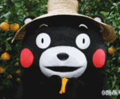 芈月传刘涛表情包动态11