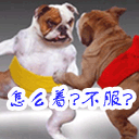 吵架时的表情怎么形容1
